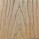 Elm