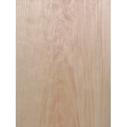 Alder | 1-Piece | Electric guitar/Bass Body