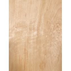Alder | 2-Pieces | Electric guitar/Bass Body