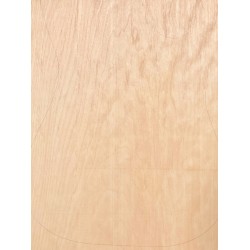 Alder | 1-Piece | Electric guitar/Bass Body