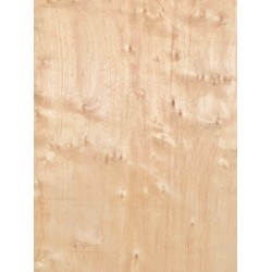 Alder | 1-Piece | Electric guitar/Bass Body
