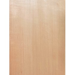 Alder | 2-Pieces | Electric guitar/Bass Body
