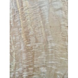 Figured Poplar