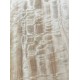 Figured Poplar