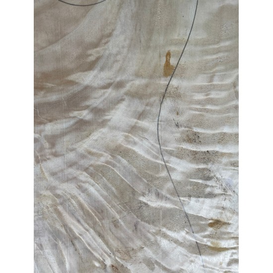 Figured Poplar
