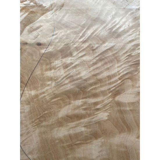 Figured Poplar