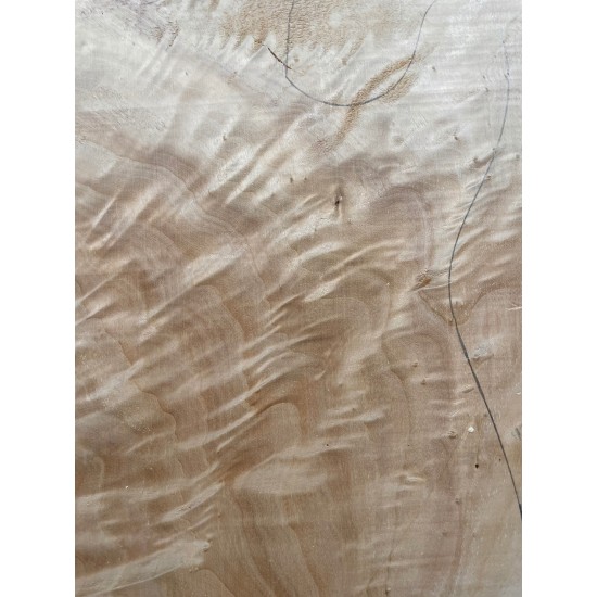 Figured Poplar