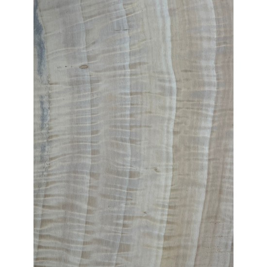 Figured Poplar