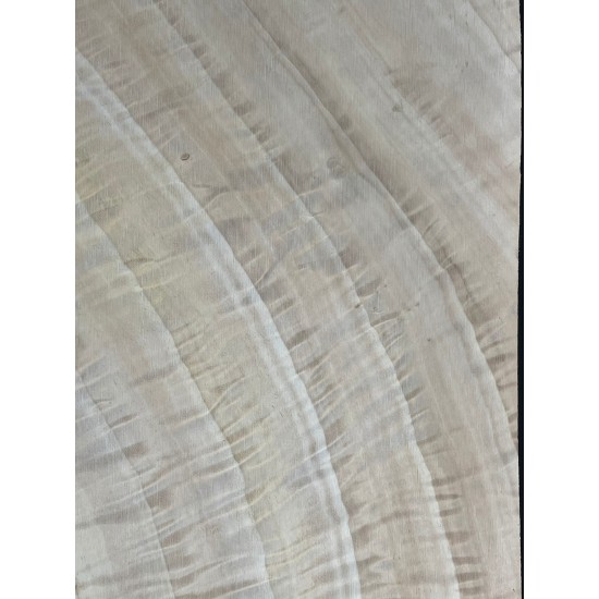 Figured Poplar
