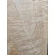 Figured Poplar