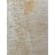 Figured Poplar