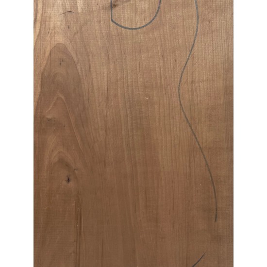Linden | 1-Piece | Electric guitar/Bass Body