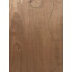 Linden | 1-Piece | Electric guitar/Bass Body