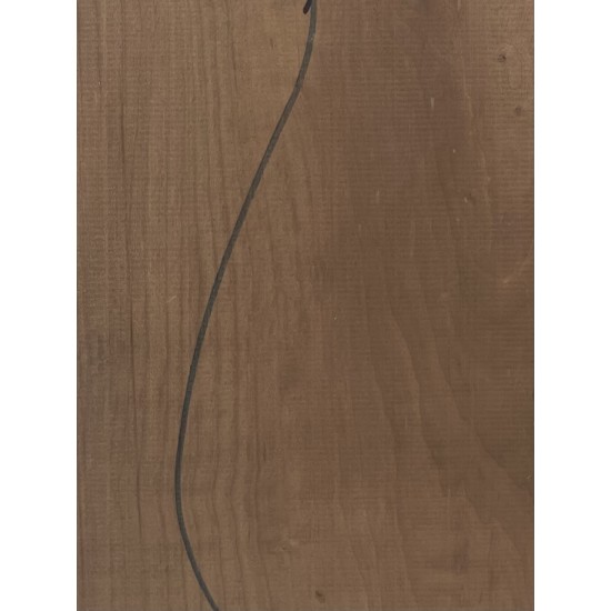Linden | 1-Piece | Electric guitar/Bass Body