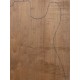 Linden | 1-Piece | Electric guitar/Bass Body