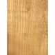 Mulberry | Wood
