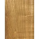 Mulberry | Wood