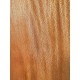 Plane tree | Wood