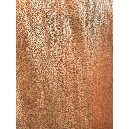 Plane tree | Wood