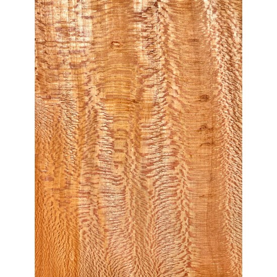 Plane tree | Wood