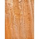 Plane tree | Wood