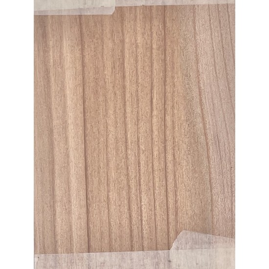 Elm | Bouzouki Bowl Set