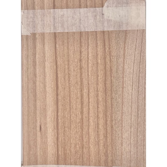 Elm | Bouzouki Bowl Set
