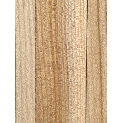 Elm | Bouzouki Bowl Set