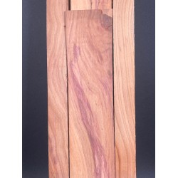 Plum tree | Bouzouki Bowl Set