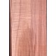 Plum tree | Bouzouki Bowl Set