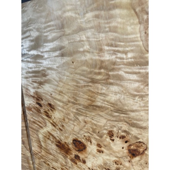 Burl Poplar | Drop Top