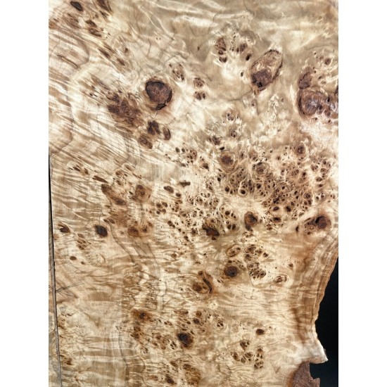 Burl Poplar | Drop Top