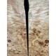 Burl Poplar | Drop Top