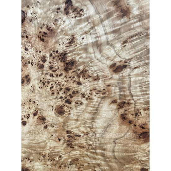 Burl Poplar | Drop Top