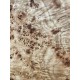 Burl Poplar | Drop Top