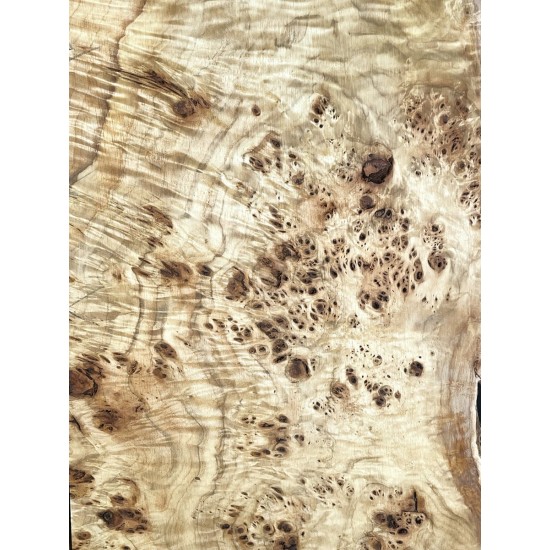 Burl Poplar | Drop Top