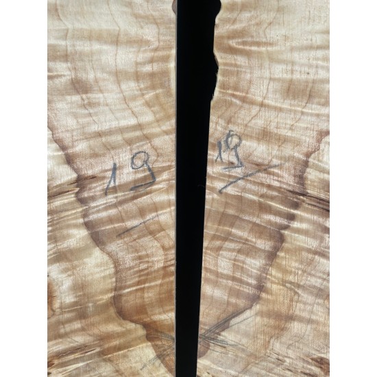 Burl Poplar | Drop Top