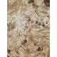 Burl Poplar | Drop Top