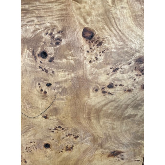Burl Poplar | Drop Top
