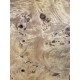 Burl Poplar | Drop Top