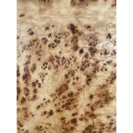 Burl Poplar | Drop Top