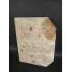 Burl Poplar