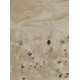 Burl Poplar