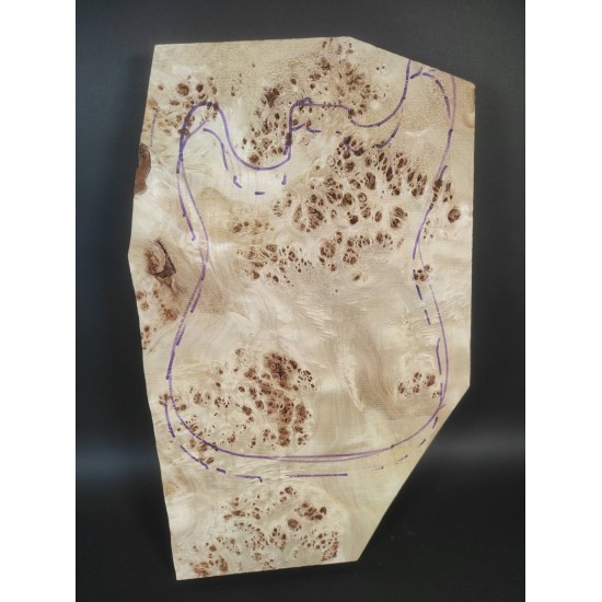 Burl Poplar