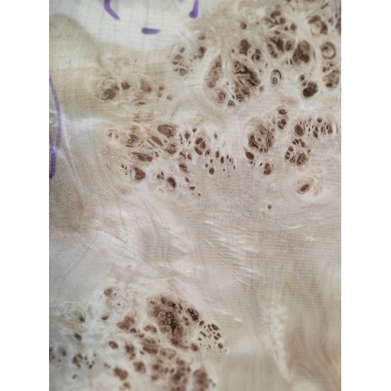 Burl Poplar