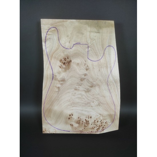Burl Poplar