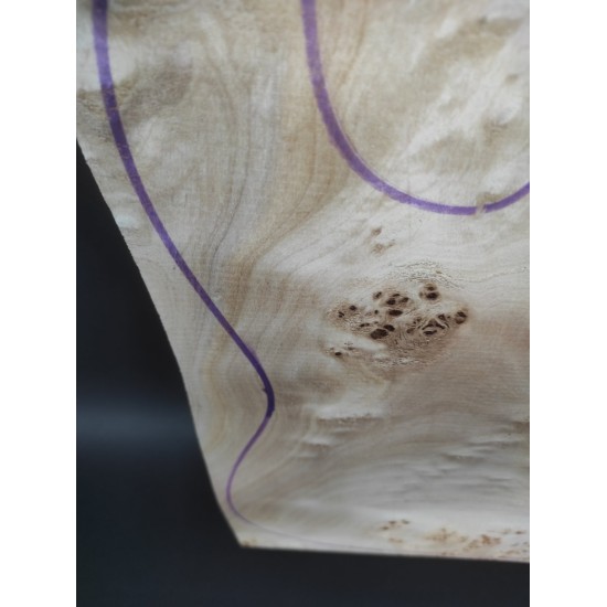 Burl Poplar