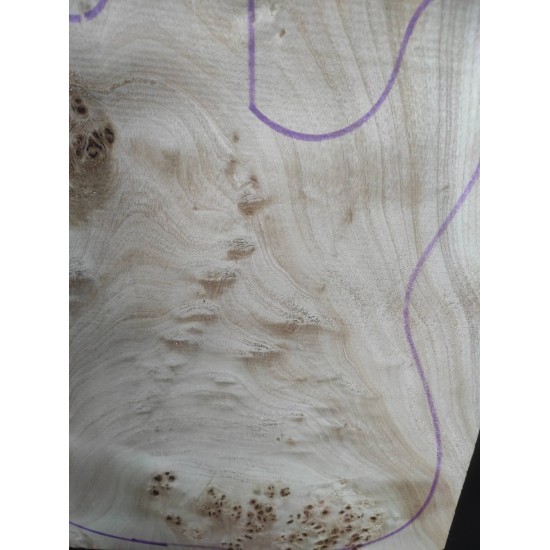 Burl Poplar