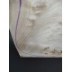 Burl Poplar