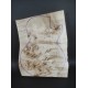 Burl Poplar